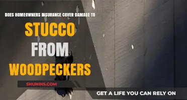 Woodpecker Damage: Is Stucco Covered by Home Insurance?
