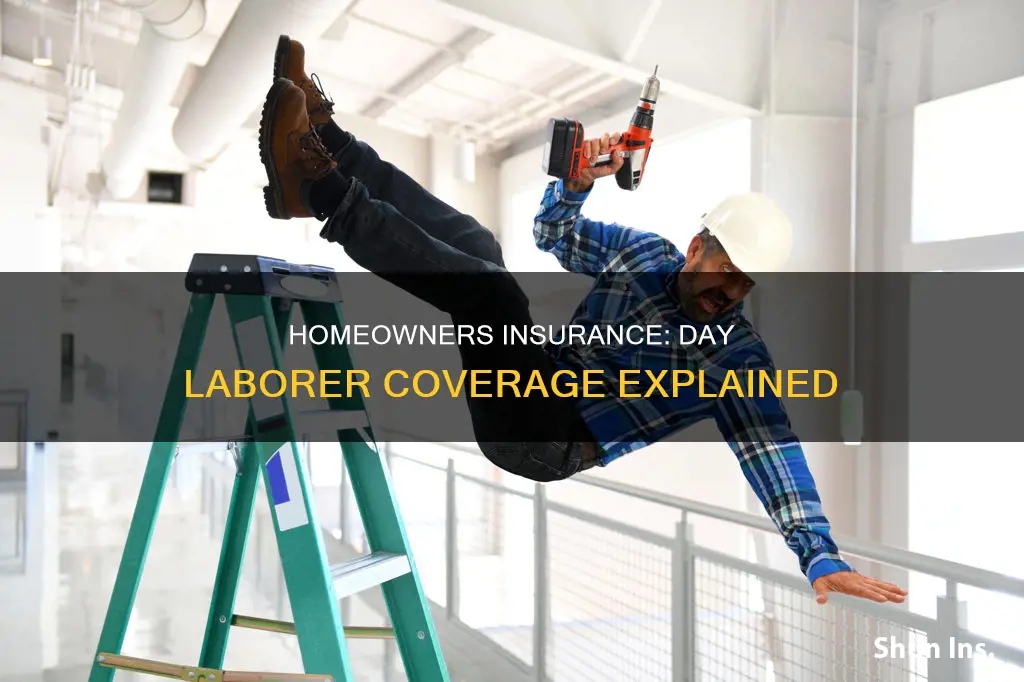 does homeowners insurance cover day laborers
