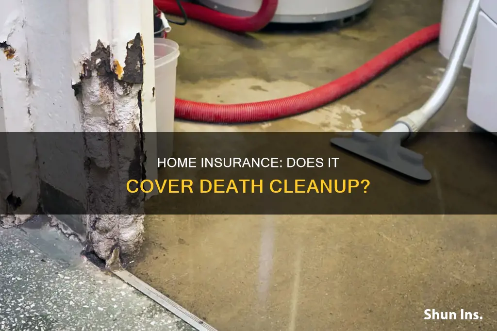 does homeowners insurance cover death cleanup