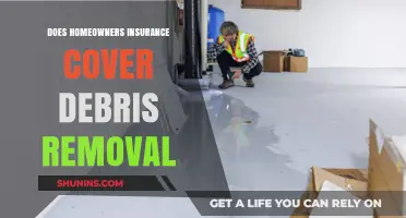 Homeowners Insurance: What's Covered for Debris Removal?