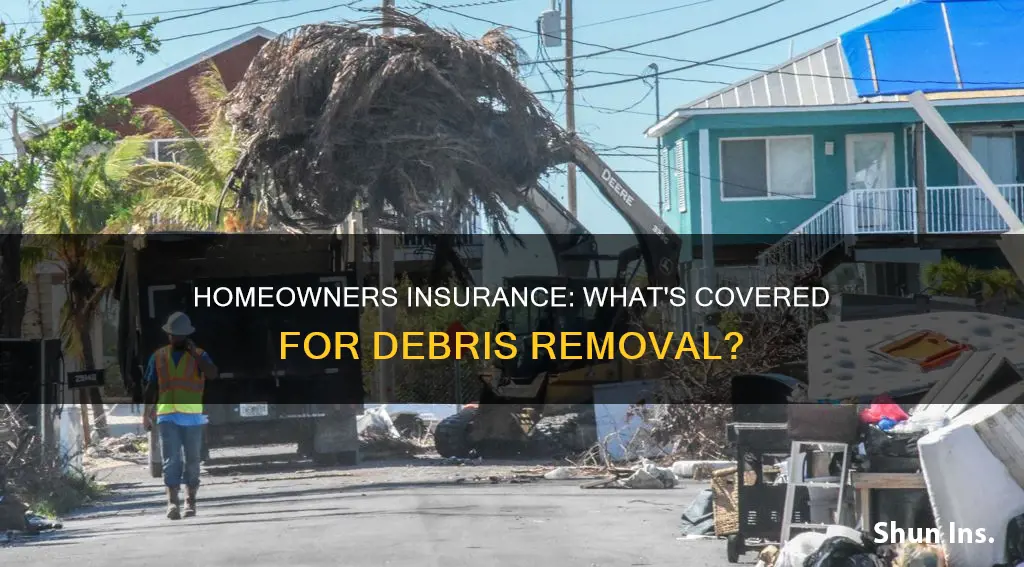 does homeowners insurance cover debris removal