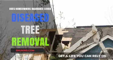 Home Insurance: Tree Removal Due to Disease Covered?