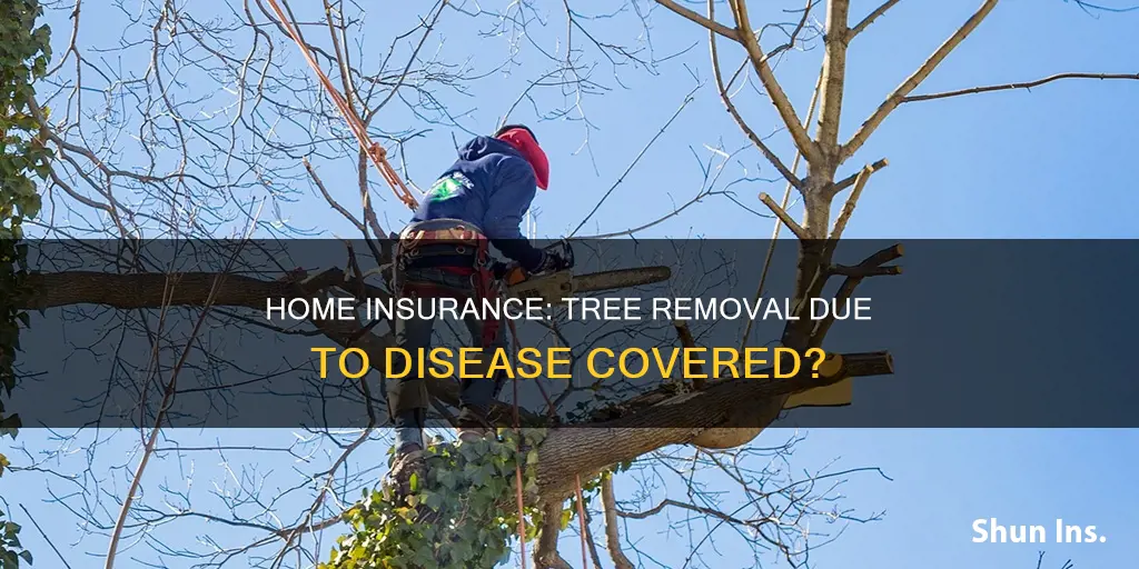 does homeowners insurance cover diseased tree removal