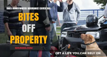 Home Insurance: Dog Bites and Liability Coverage