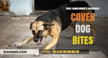 Homeowner's Insurance: Dog Bites and Coverage