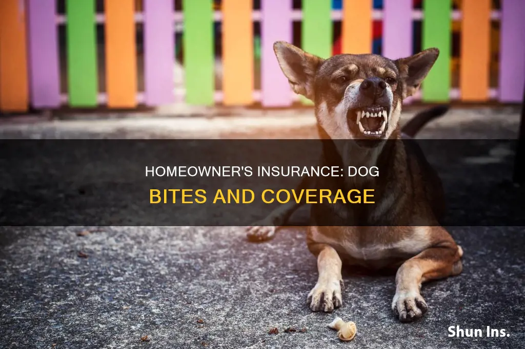 does homeowner