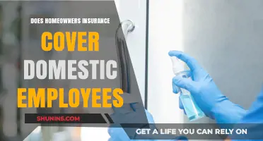 Domestic Employee Coverage: Is Your Homeowners Insurance Enough?