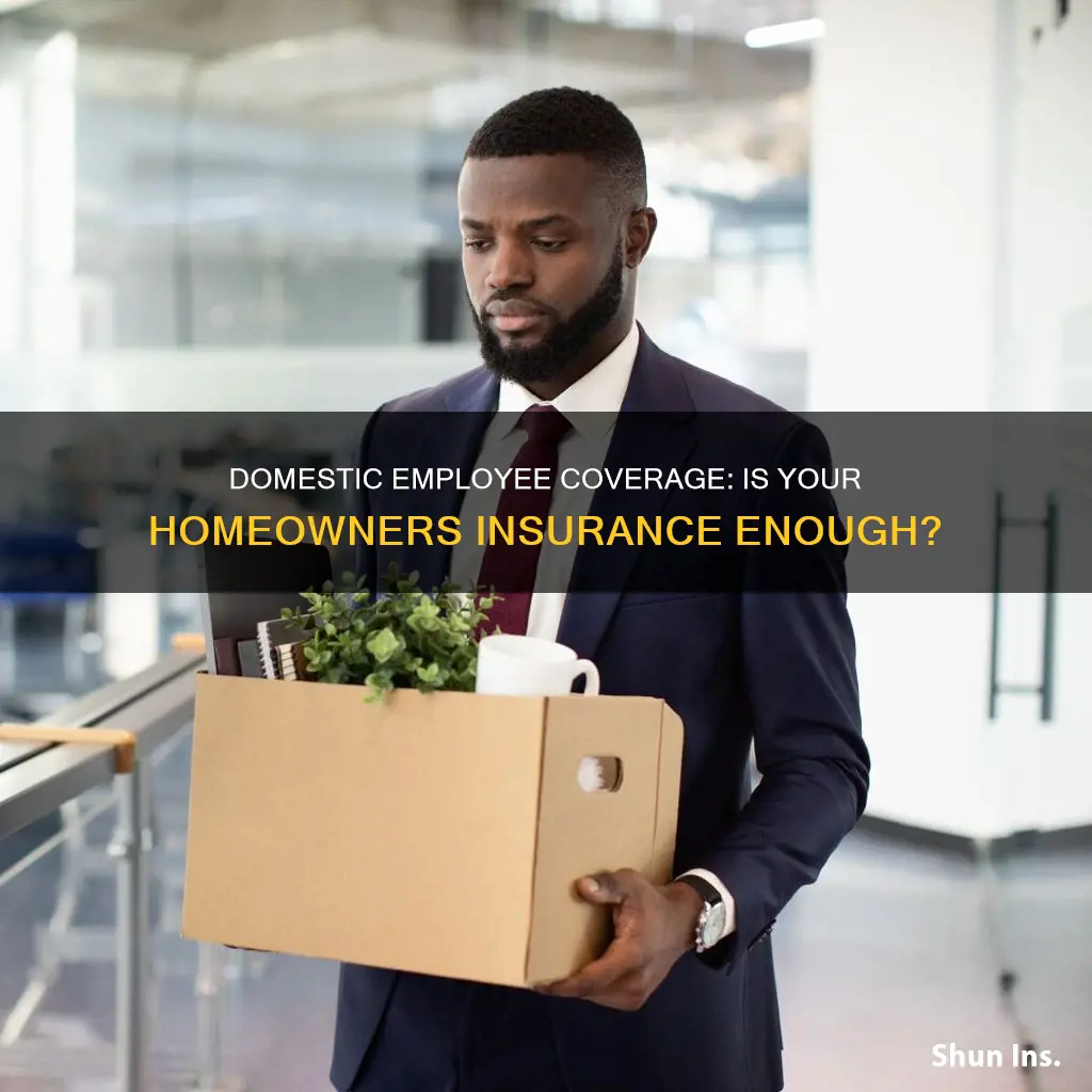 does homeowners insurance cover domestic employees