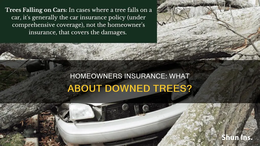 does homeowners insurance cover downed trees