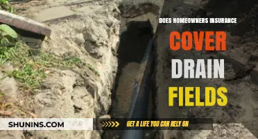 Homeowners Insurance: Drain Fields Covered?
