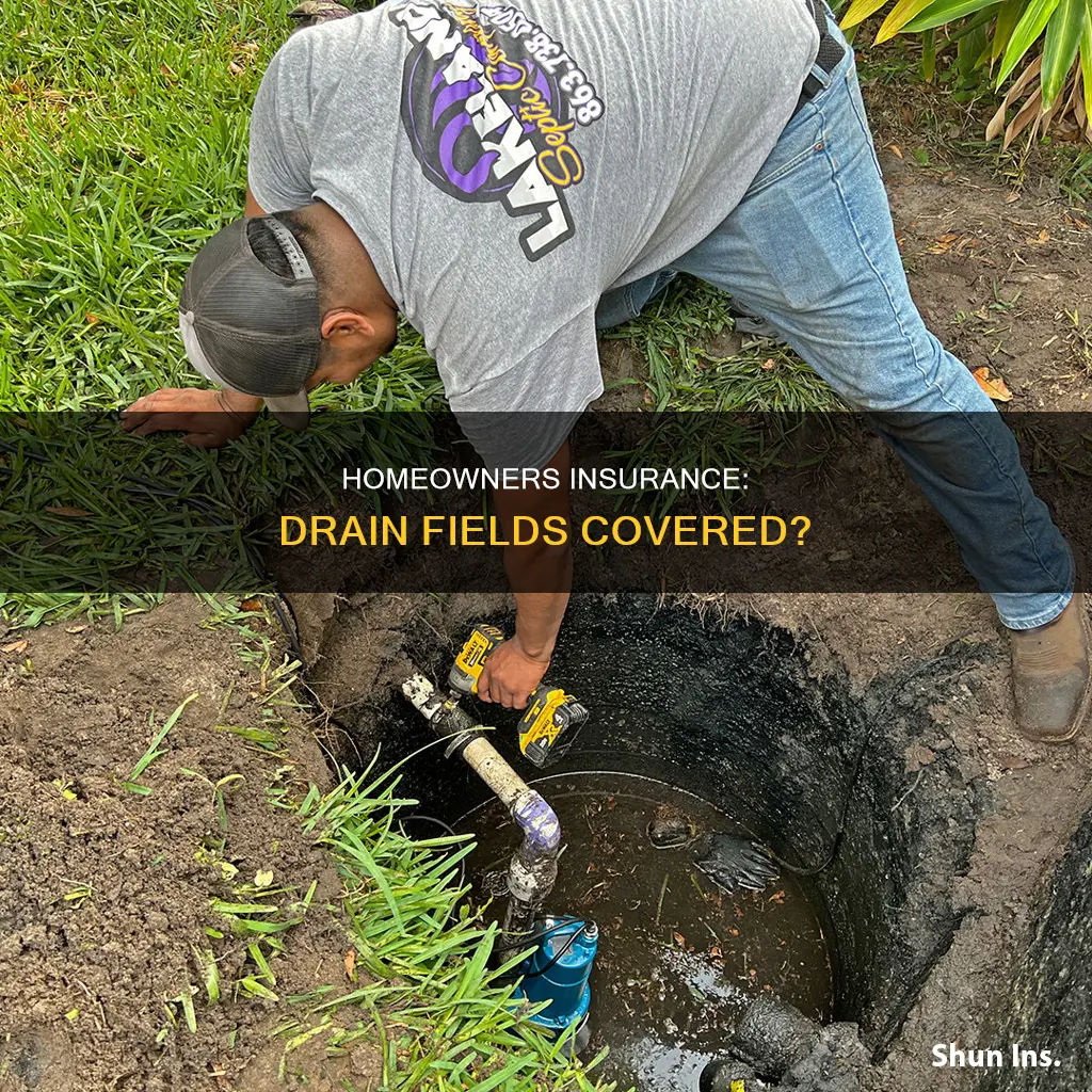 does homeowners insurance cover drain fields