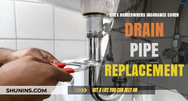 Homeowners Insurance: Drain Pipe Replacement Coverage?