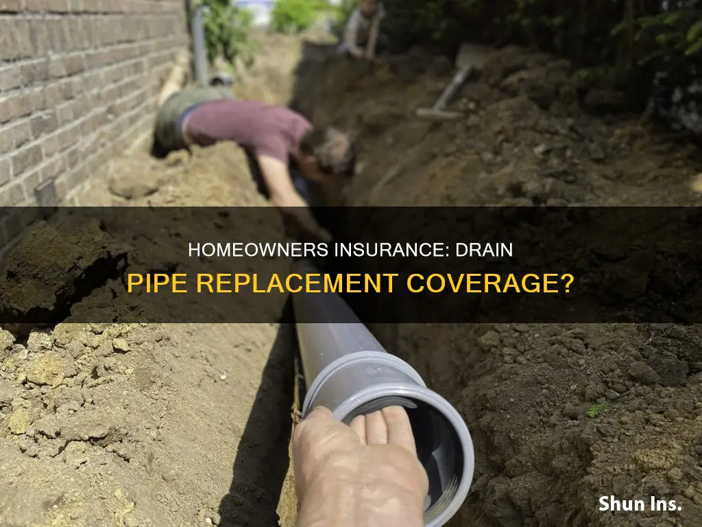 does homeowners insurance cover drain pipe replacement