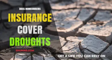 Homeowners Insurance: Drought Protection and What to Know