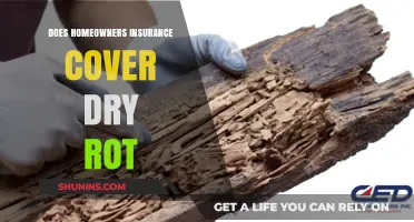 Homeowners Insurance: Dry Rot Coverage and Prevention