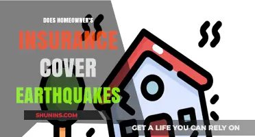 Earthquake Coverage: Is Your Home Insured?