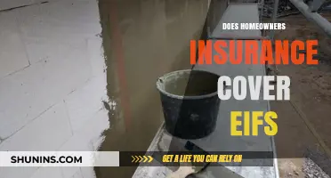 Homeowners Insurance: Does It Cover EIFS Damage?