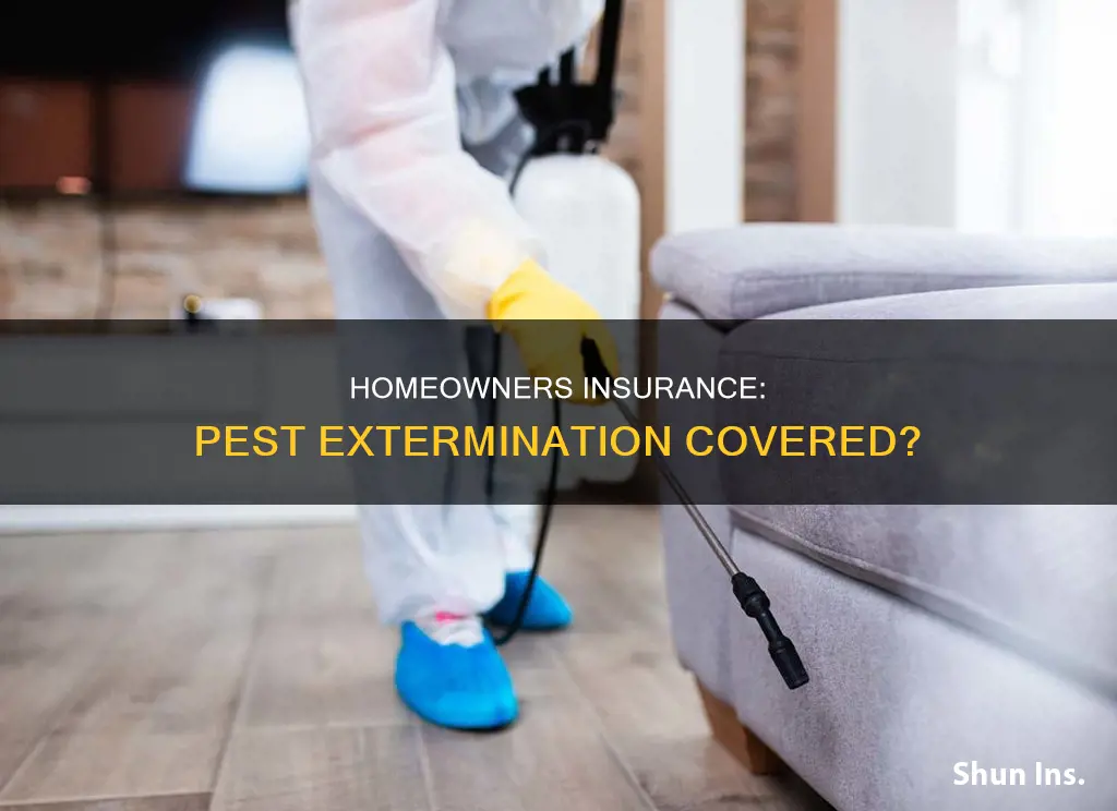 does homeowners insurance cover extermination