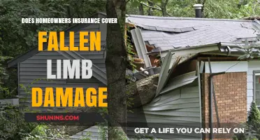 Home Insurance: Fallen Limb Damage Covered?