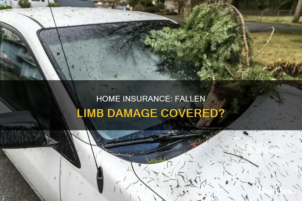 does homeowners insurance cover fallen limb damage