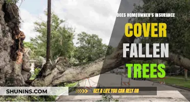 Homeowner's Insurance: Fallen Trees and Your Coverage