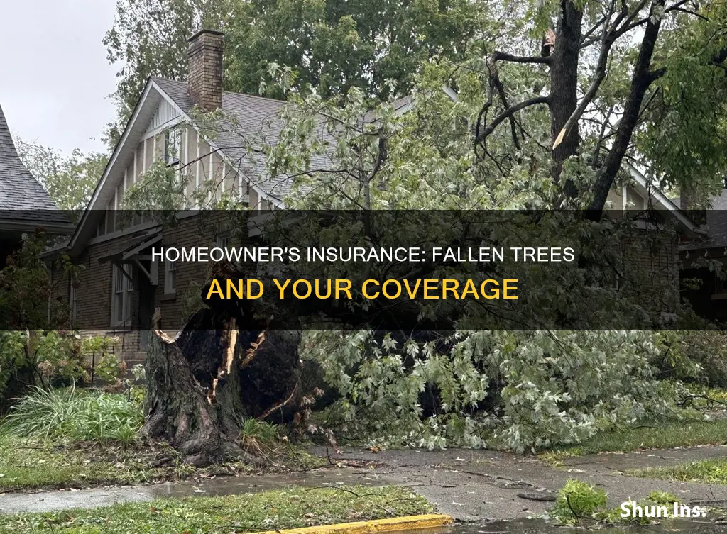 does homeowner