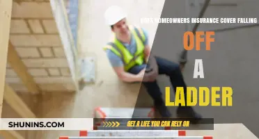Ladder Falls: Are You Covered by Homeowners Insurance?