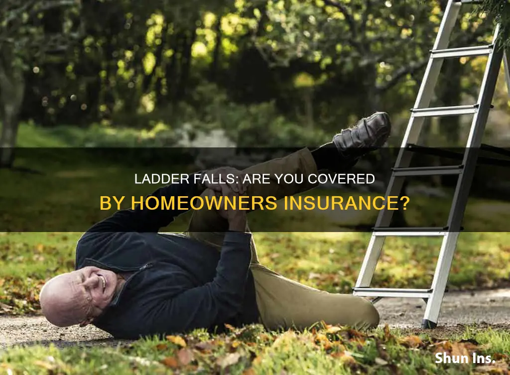 does homeowners insurance cover falling off a ladder