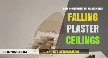 Home Insurance: Falling Ceilings and Coverage