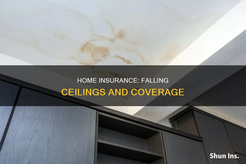 does homeowners insurance cover falling plaster ceilings