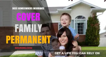 Home Insurance: Covering Your Family's Permanent Home