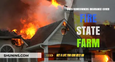 Homeowners Insurance: Does Fire Damage Fall Under Coverage?