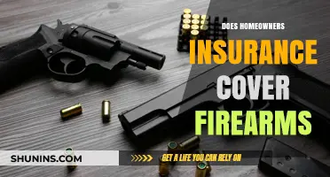 Home Insurance: Are Your Firearms Covered?