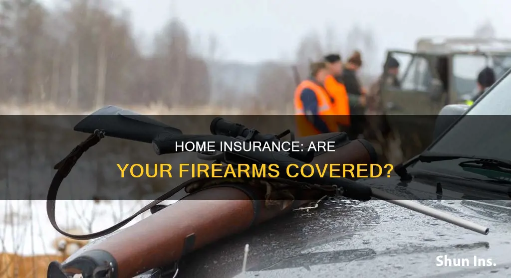does homeowners insurance cover firearms