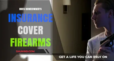 Homeowner's Insurance: What's the Deal with Firearm Coverage?