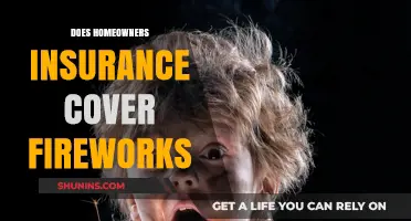 Fireworks and Home Insurance: What's Covered?