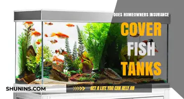 Home Insurance: Fish Tank Coverage?