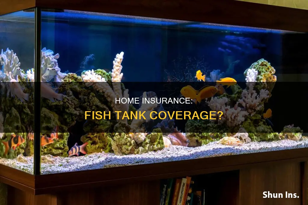 does homeowners insurance cover fish tanks
