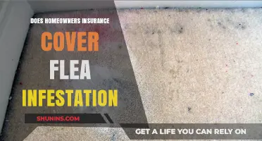 Home Insurance: Flea Infestation Covered?