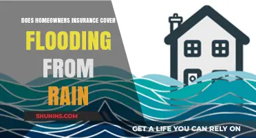 Home Insurance: Rain Flood Coverage Explained
