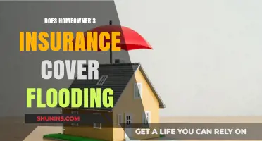 Homeowner's Insurance: Flood Coverage Included?