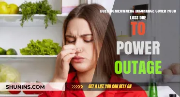 Home Insurance: Power Outage Food Loss Coverage