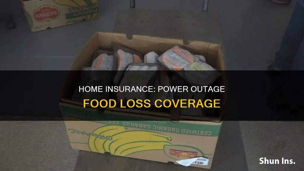 does homeowners insurance cover food loss due to power outage