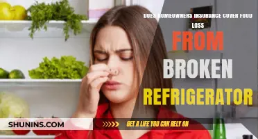 Home Insurance: Fridge Breakdown and Food Loss Coverage