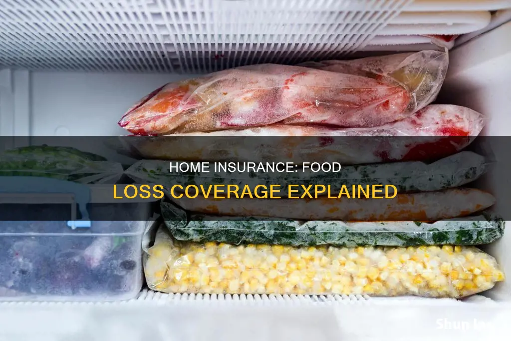 does homeowners insurance cover food loss