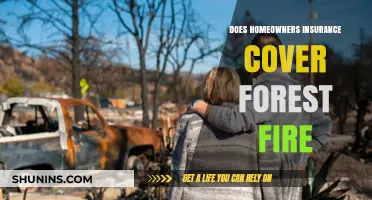 Homeowners Insurance: Forest Fire Coverage Explained