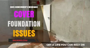 Homeowner's Insurance: Foundation Issues Covered?