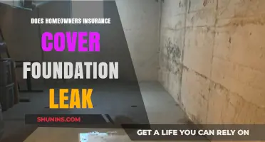 Homeowners Insurance: Foundation Leak Coverage?