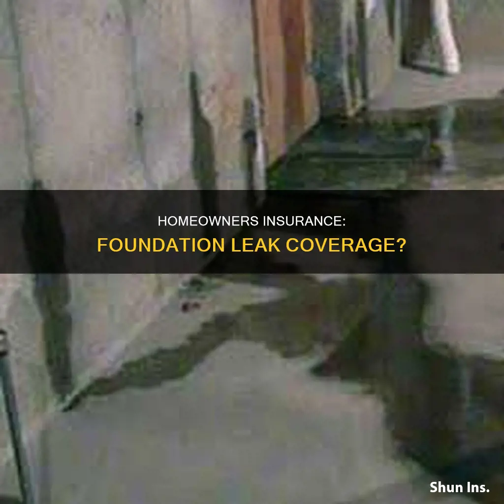 does homeowners insurance cover foundation leak