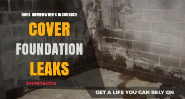 Homeowners Insurance: Foundation Leak Coverage Explained